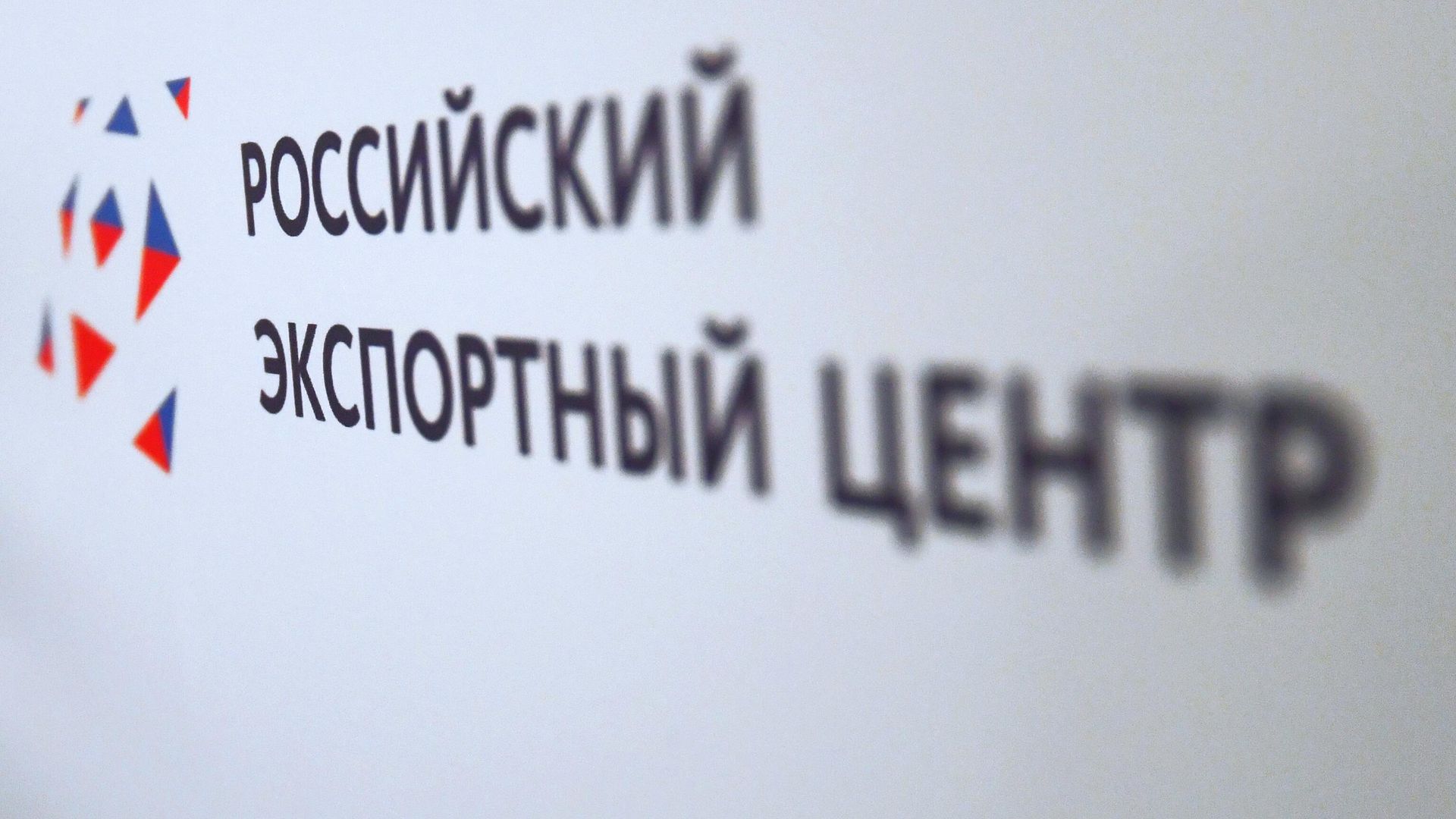 Логотип АО Российский экспортный центр Логотип АО Российский экспортный центр - РИА Новости, 1920, 05.12.2024