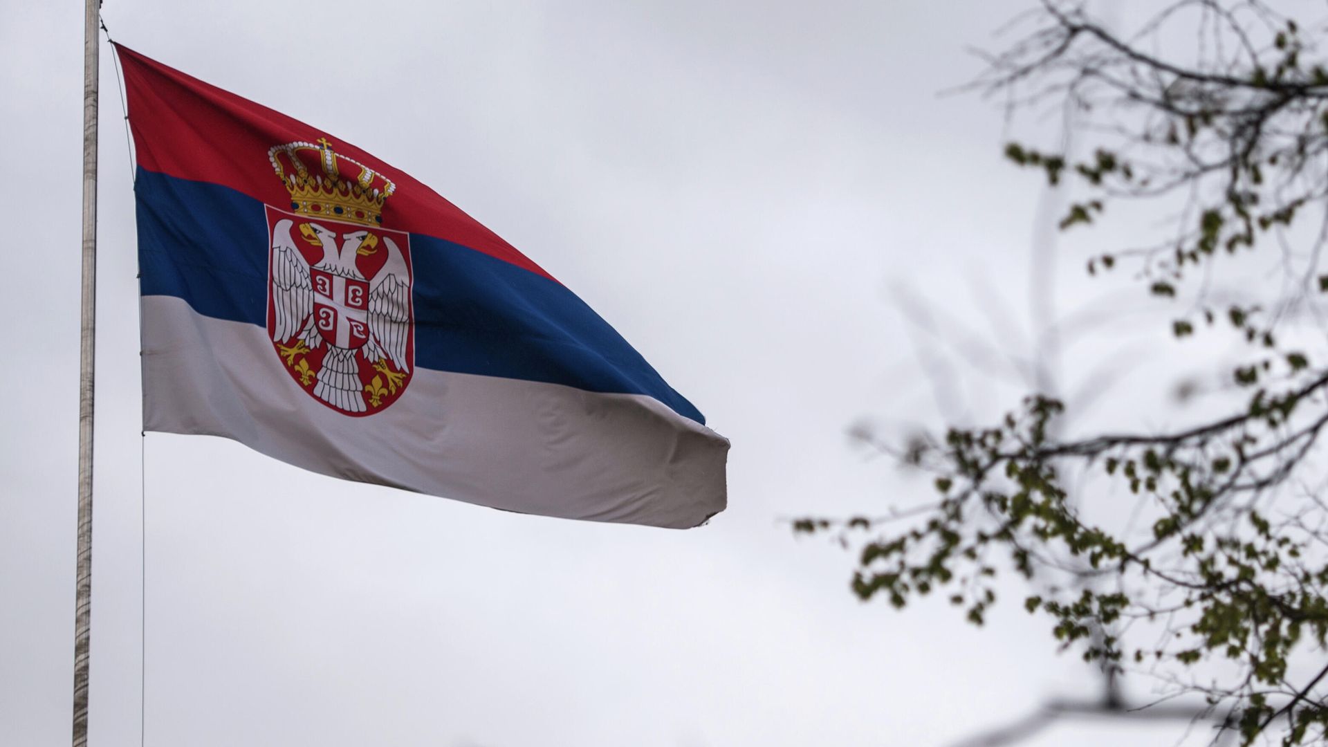 Государственный флаг Республики Сербия Государственный флаг Республики Сербия - РИА Новости, 1920, 19.10.2024
