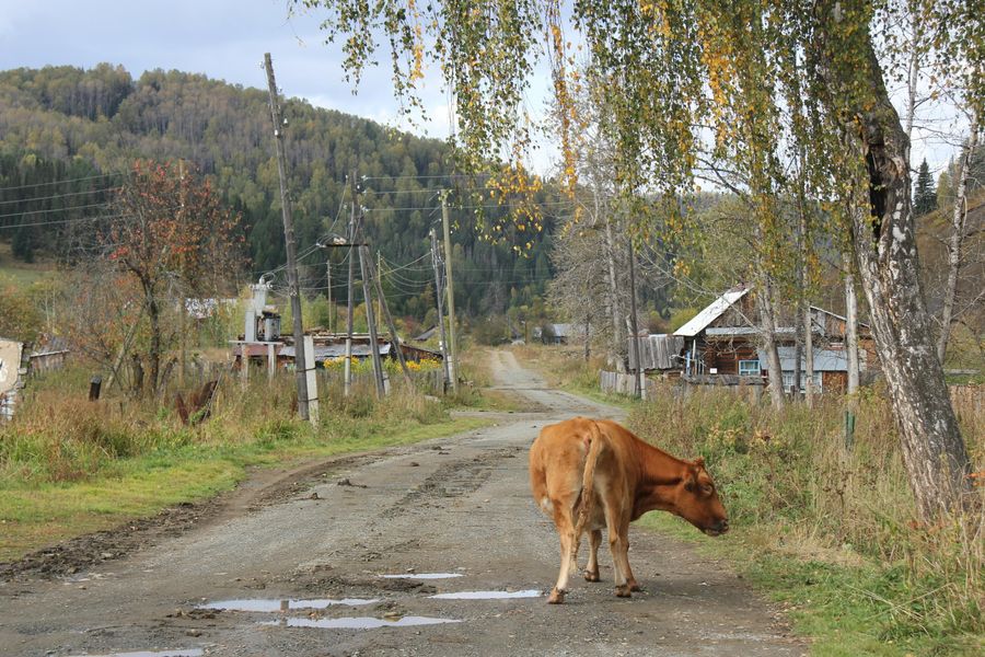 Центральная улица в поселке Неожиданный Центральная улица в поселке Неожиданный