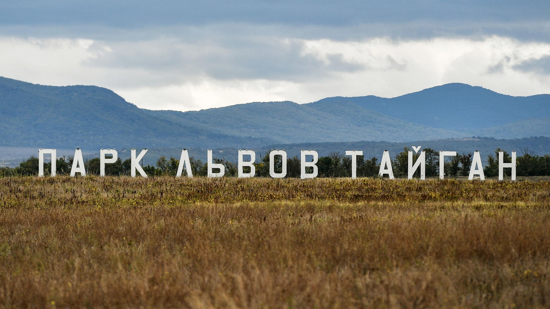 Сафари-парк Тайган в Крыму Сафари-парк Тайган в Крыму - РИА Новости, 1920, 27.09.2021