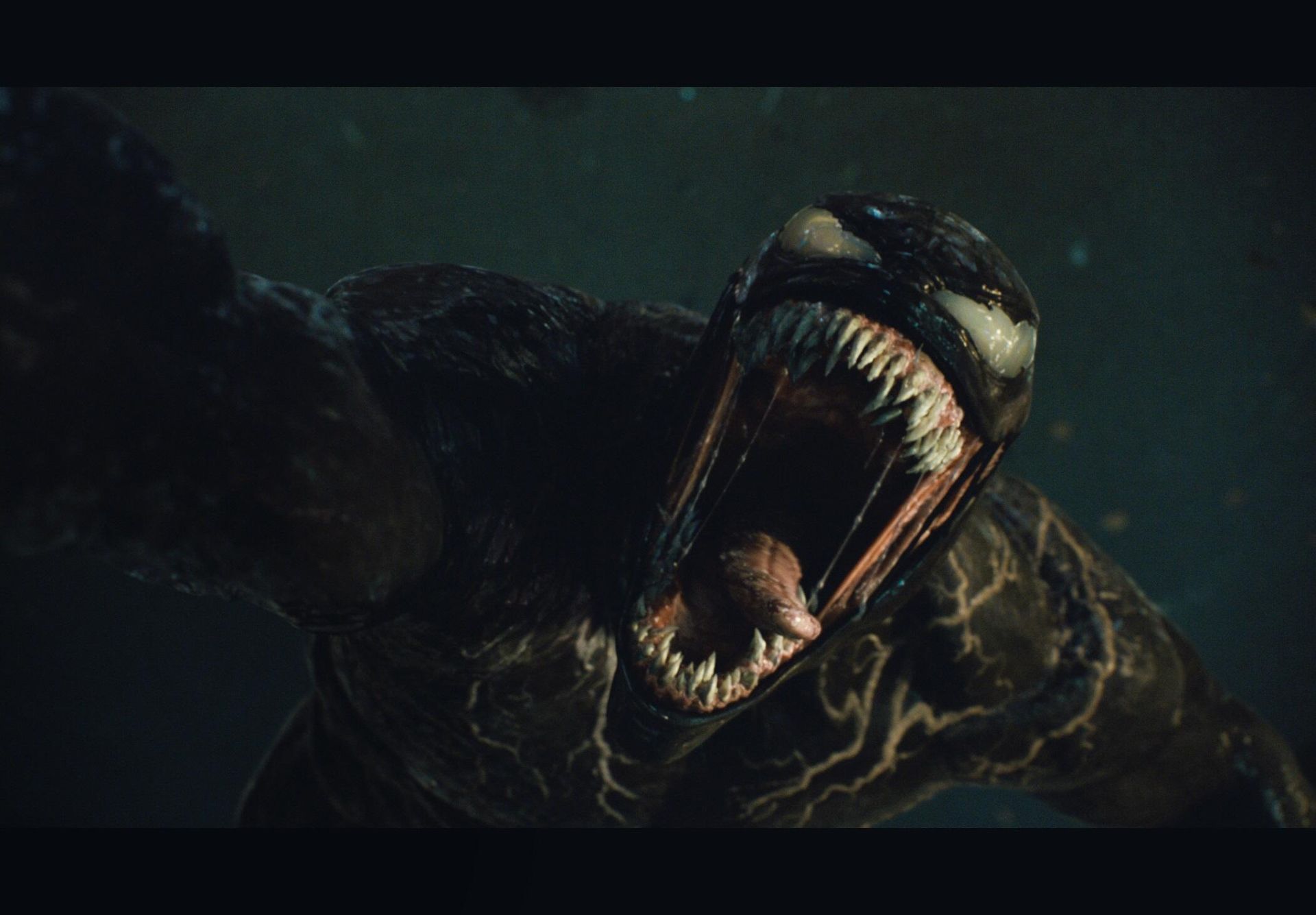 Кадр из фильма Веном 2 Кадр из фильма Веном 2 - РИА Новости, 1920, 28.09.2021