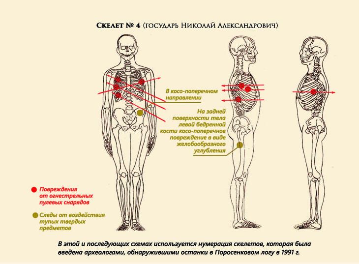Скелет государя - РИА Новости, 1920, 01.10.2021