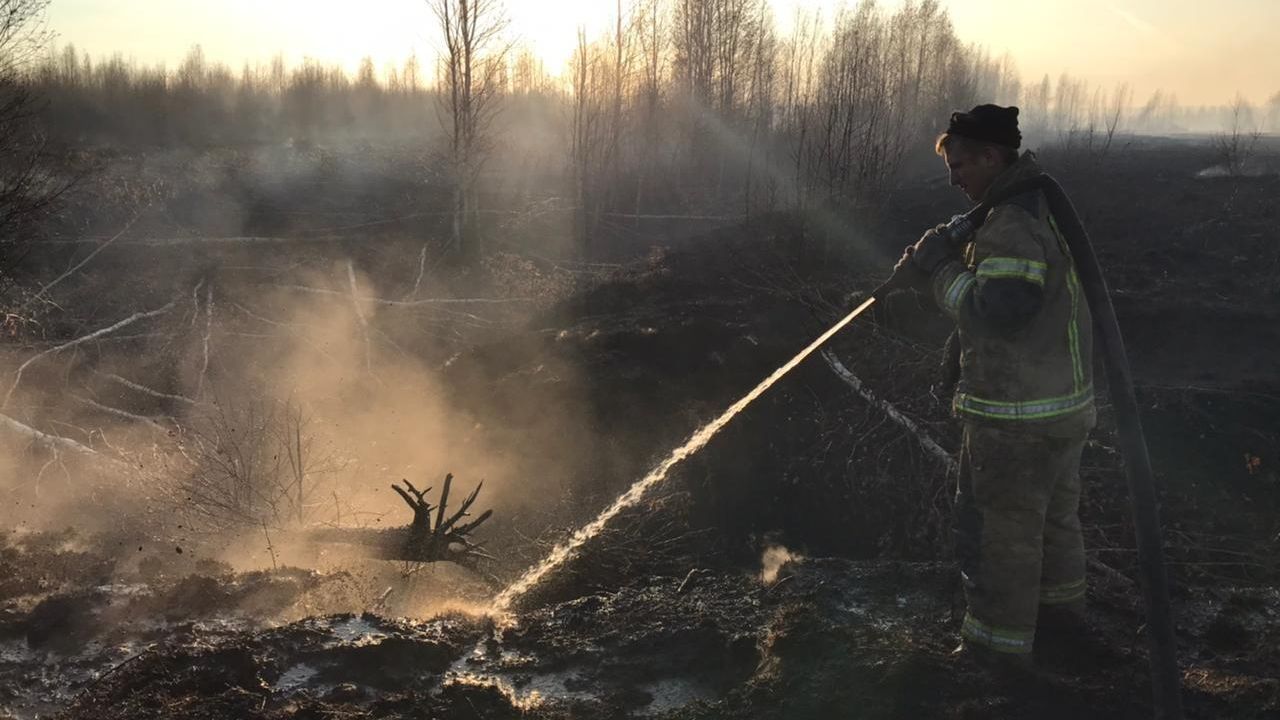 Пожарный у тлеющего торфяника на юге Екатеринбурга Пожарный у тлеющего торфяника на юге Екатеринбурга - РИА Новости, 1920, 14.10.2021