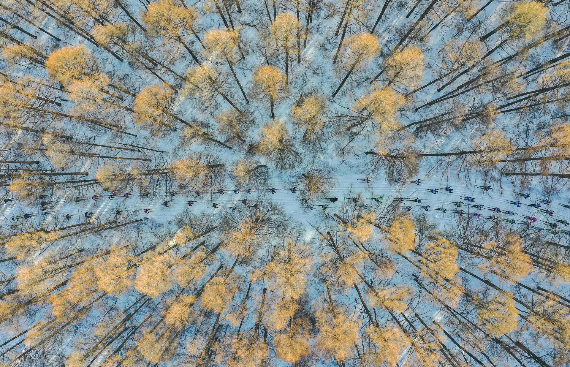 Работа фотографа Чан Сюй На лыжах в весну. Моя Планета, одиночные фотографии, 1 место Работа фотографа Чан Сюй На лыжах в весну. Моя Планета, одиночные фотографии, 1 место - РИА Новости, 1920, 17.10.2021
