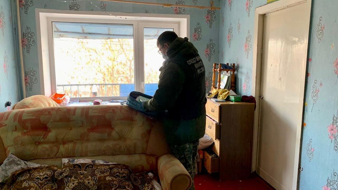 Поиски пропавшей в Вологде 9-летней девочки Поиски пропавшей в Вологде 9-летней девочки - РИА Новости, 1920, 19.10.2021