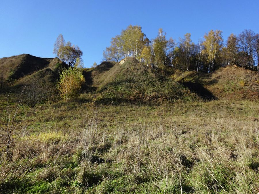 Лихвинский разрез Лихвинский разрез