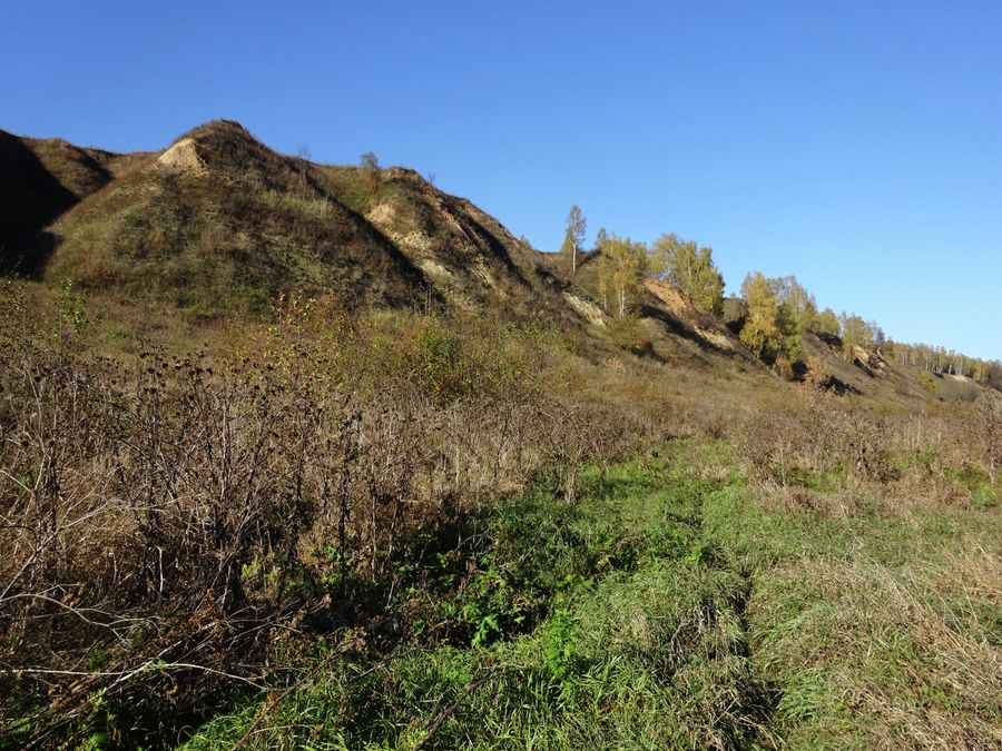 Лихвинский разрез Лихвинский разрез