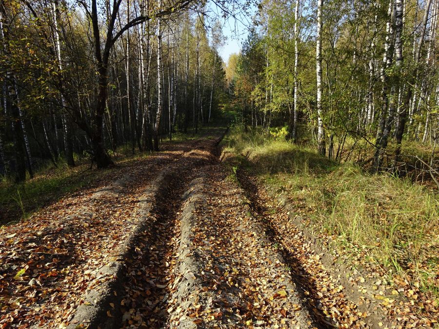По дороге через Суворовские карьеры не везде можно проехать По дороге через Суворовские карьеры не везде можно проехать