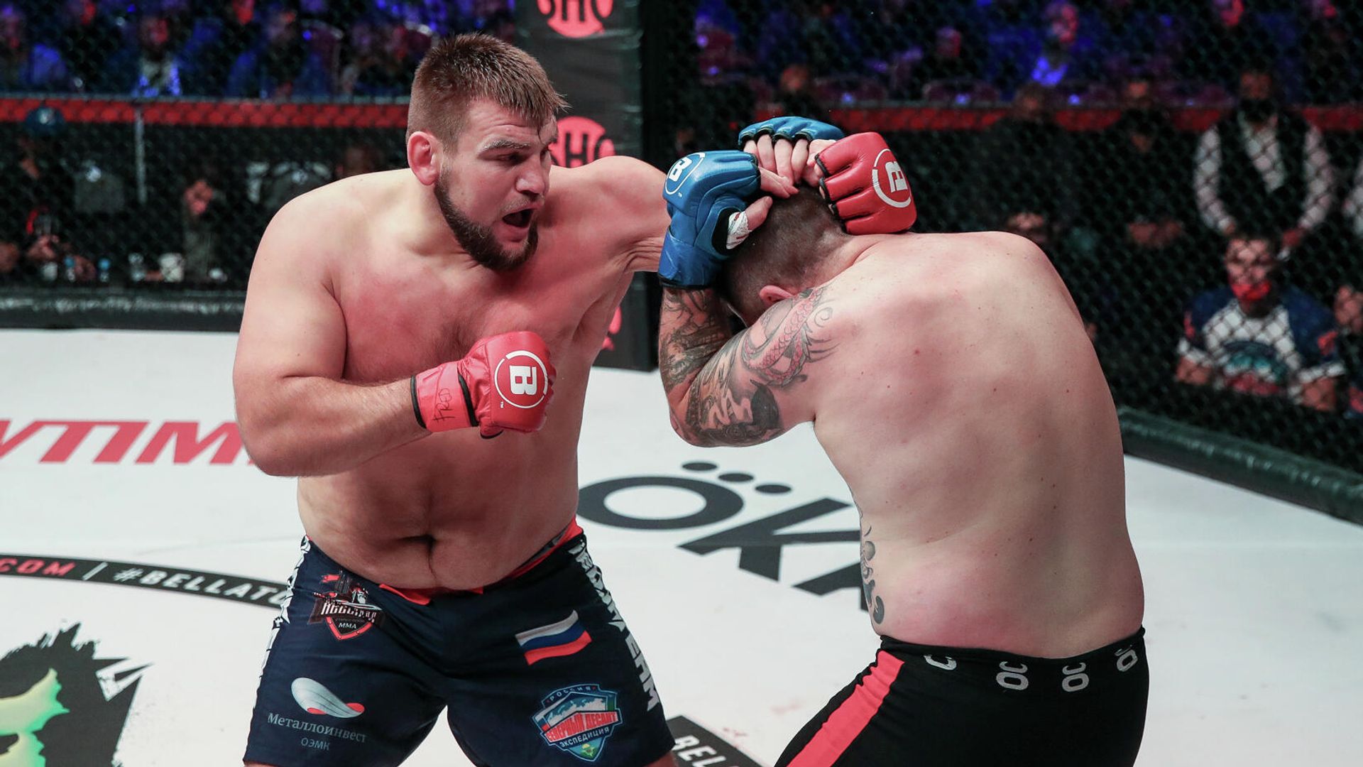 Кирилл Сидельников на турнире Bellator Кирилл Сидельников на турнире Bellator - РИА Новости, 1920, 01.07.2022
