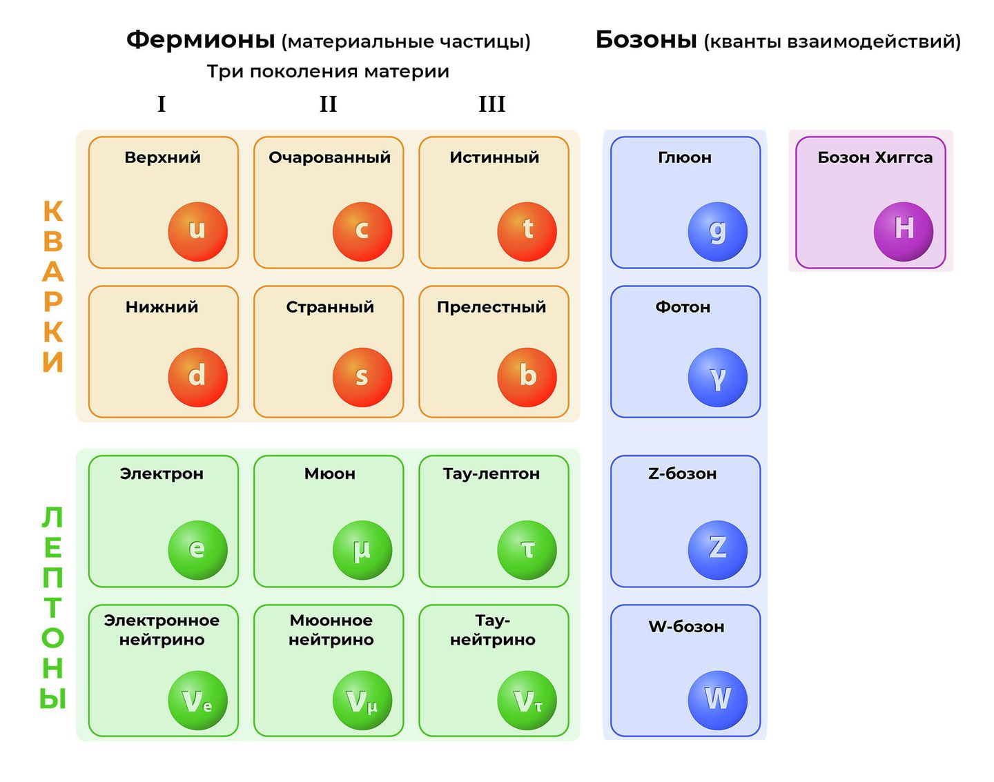 Фермионы и бозоны
