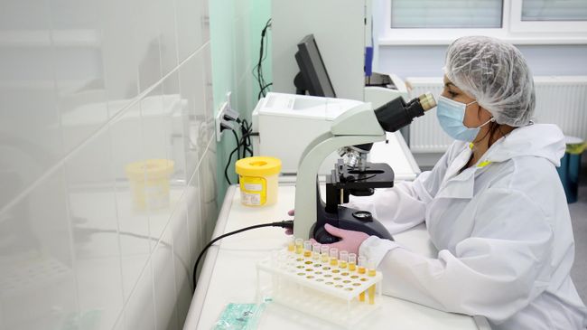 Российские ученые предложили целостный подход к восстановлению мозга