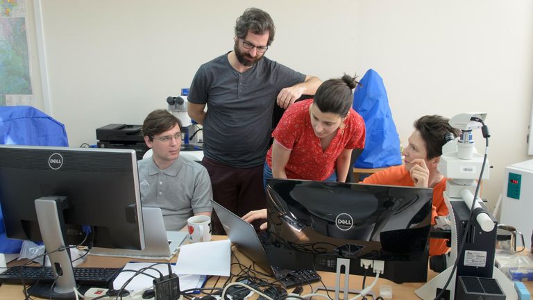 Исследовательская группа за работой над проектом Российского научного фонда (РНФ). Слева направо. Павел Климов, Алмир Рожерио Пепато, Мариа Хелена Лима ди Оливейра, и Екатерина Сидорчук Исследовательская группа за работой над проектом Российского научного фонда (РНФ). Слева направо. Павел Климов, Алмир Рожерио Пепато, Мариа Хелена Лима ди Оливейра, и Екатерина Сидорчук