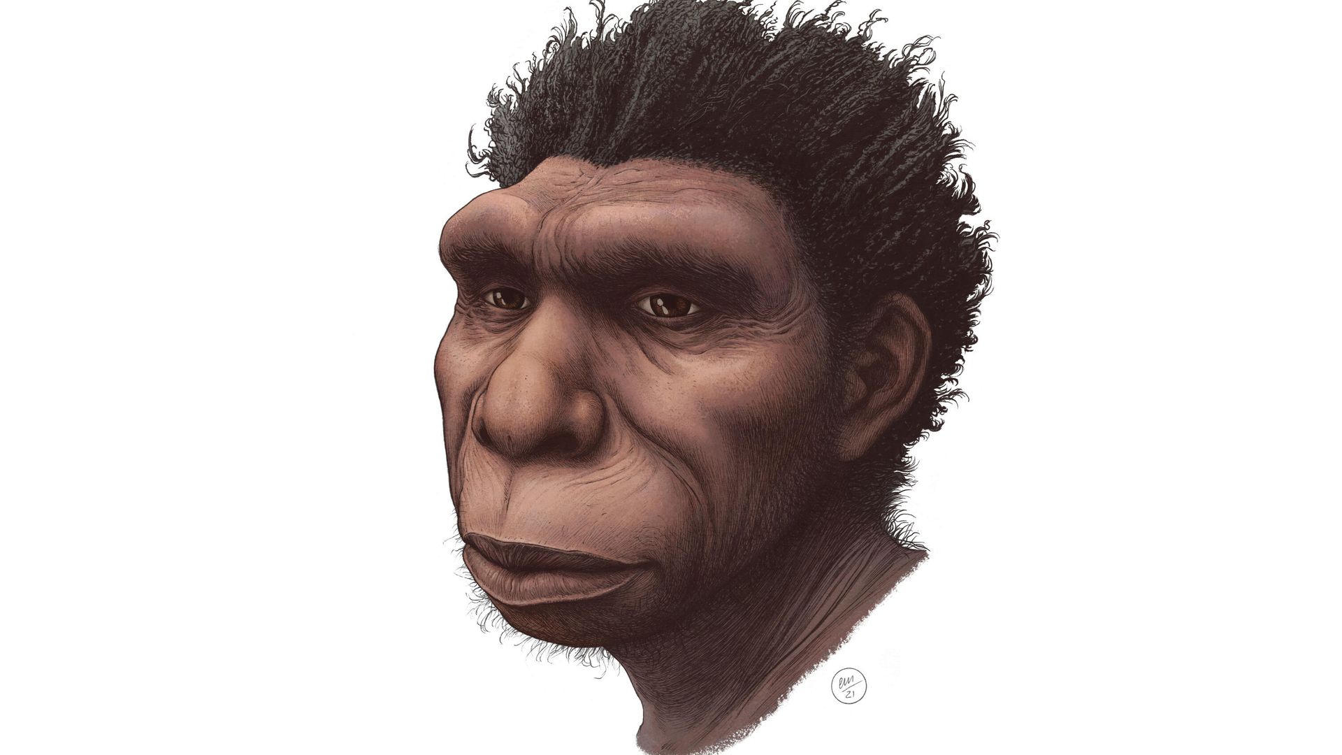 Художественная реконструкция Homo bodoensis Художественная реконструкция Homo bodoensis - РИА Новости, 1920, 28.10.2021