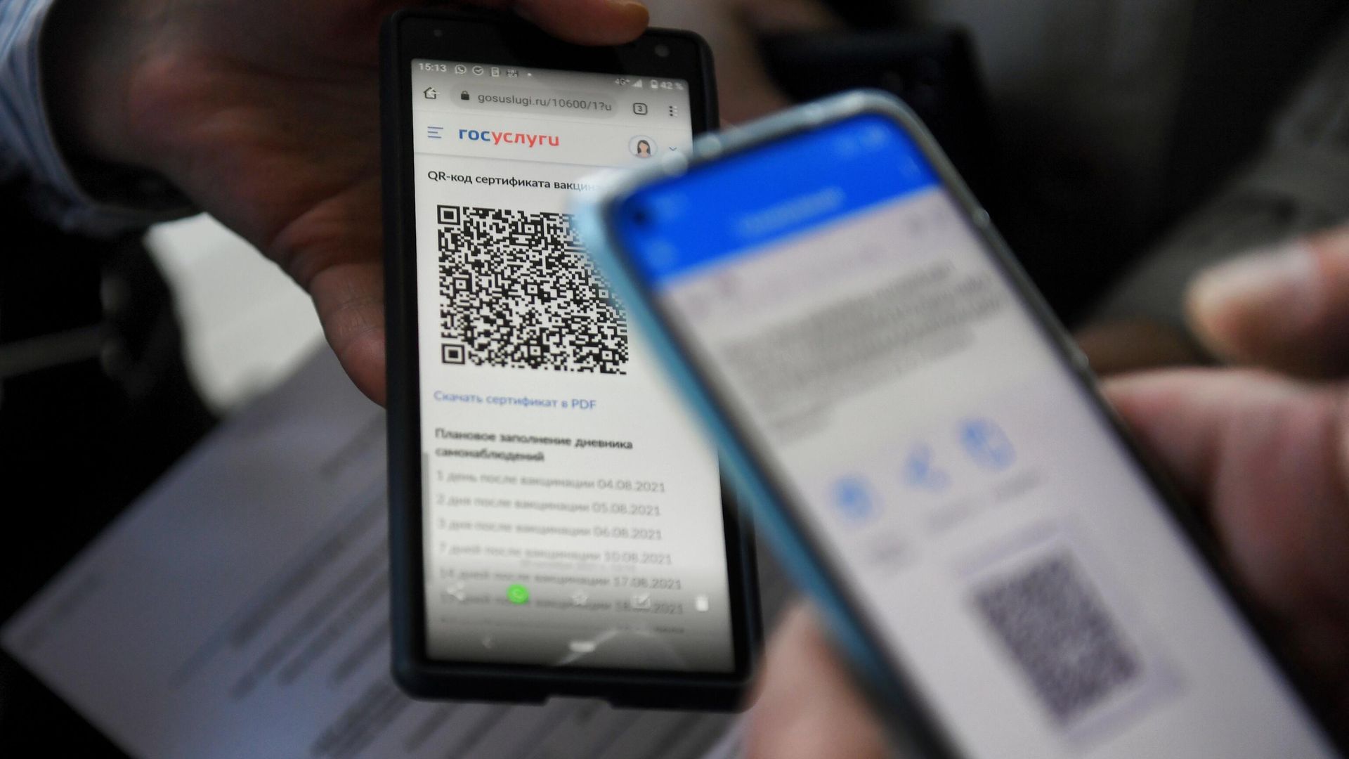 Посетитель предъявляет QR-код для проверки Посетитель предъявляет QR-код для проверки - РИА Новости, 1920, 13.11.2021