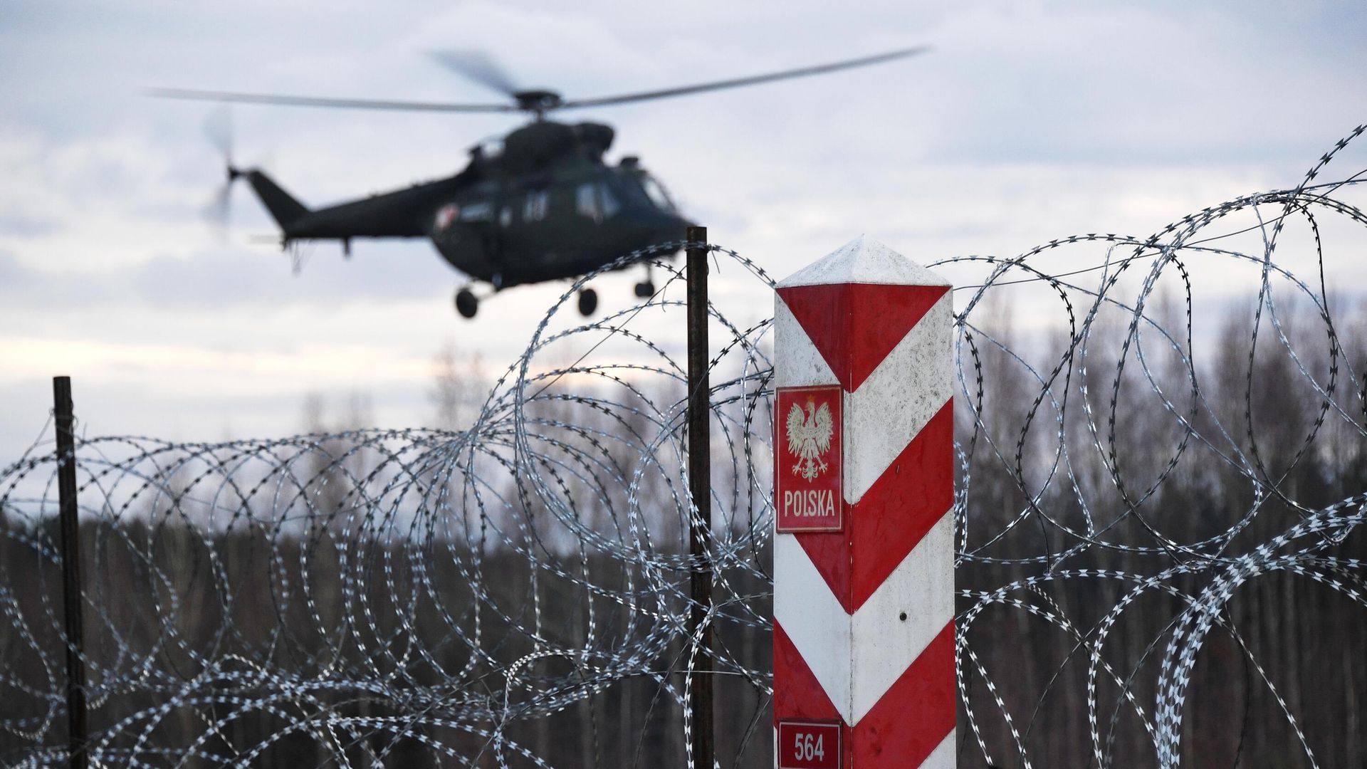 Пограничный столб на белорусско-польской границе Пограничный столб на белорусско-польской границе - РИА Новости, 1920, 21.07.2024