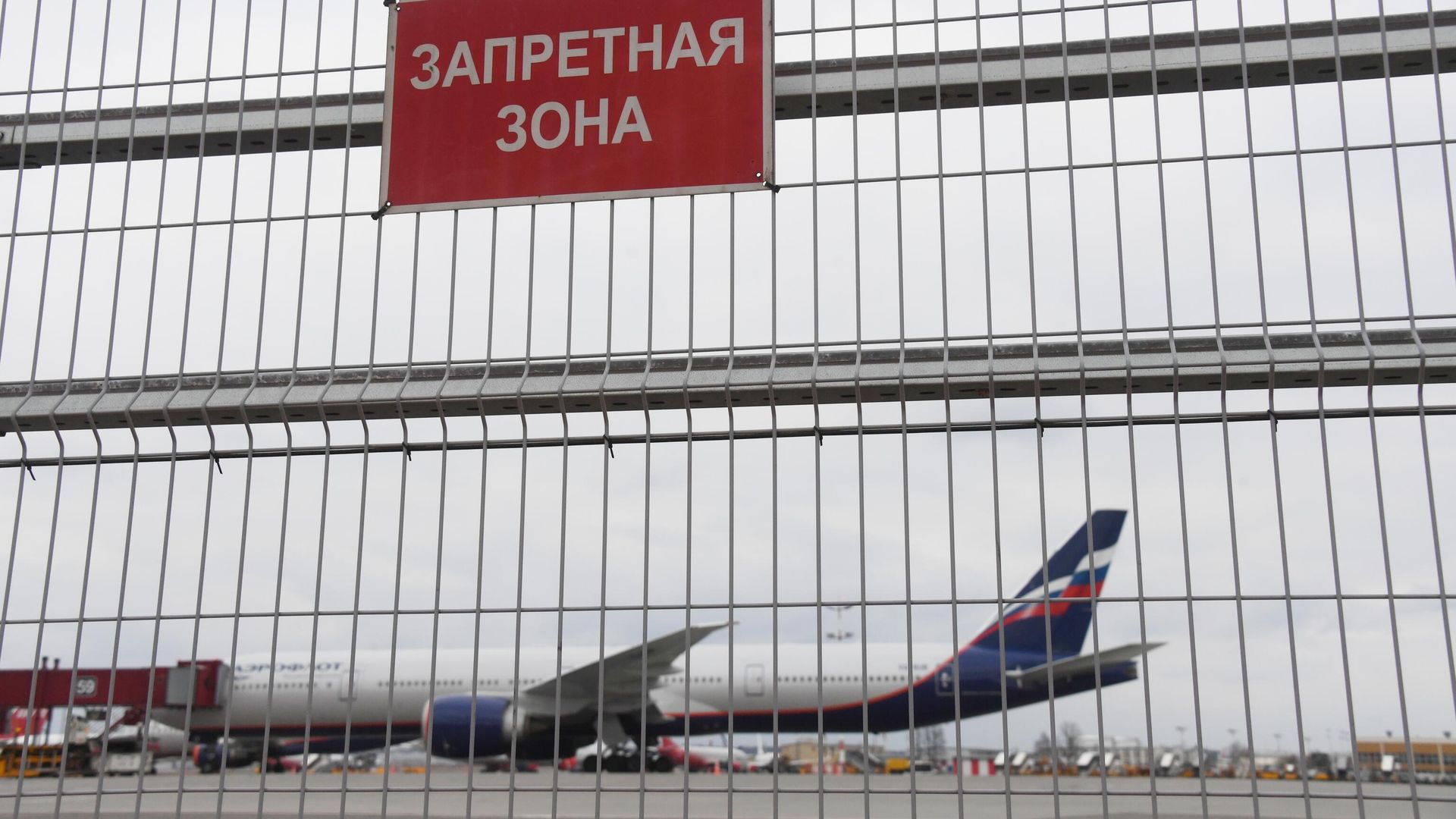Самолет авиакомпании Аэрофлот в аэропорту Шереметьево Самолет авиакомпании Аэрофлот в аэропорту Шереметьево - РИА Новости, 1920, 13.05.2022