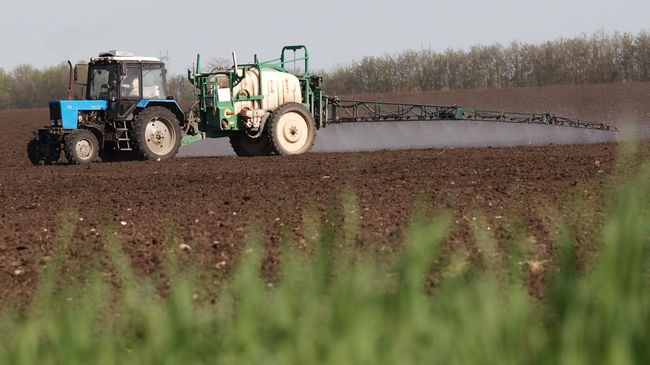 Азотные удобрения Азотные удобрения