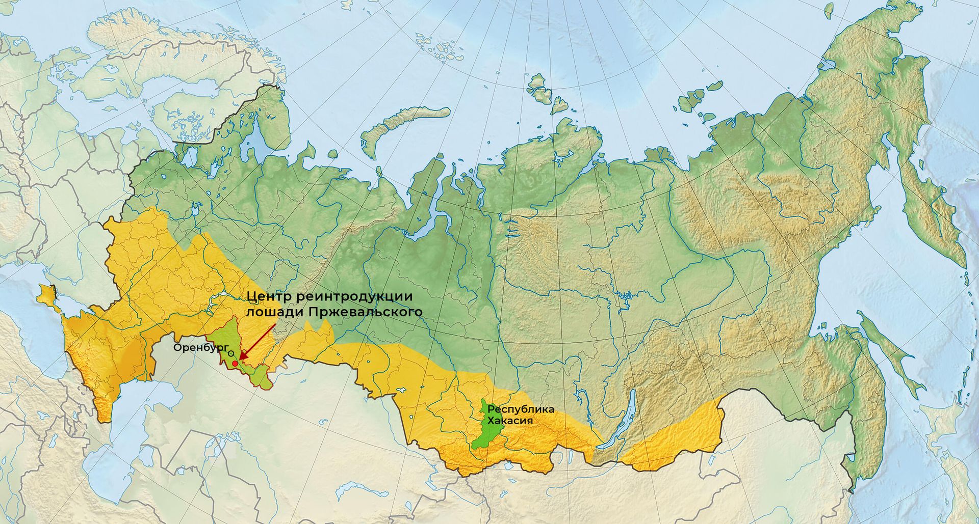 Исторический ареал обитания лошади Пржевальского на территории РФ Исторический ареал обитания лошади Пржевальского на территории РФ - РИА Новости, 1920, 19.11.2021