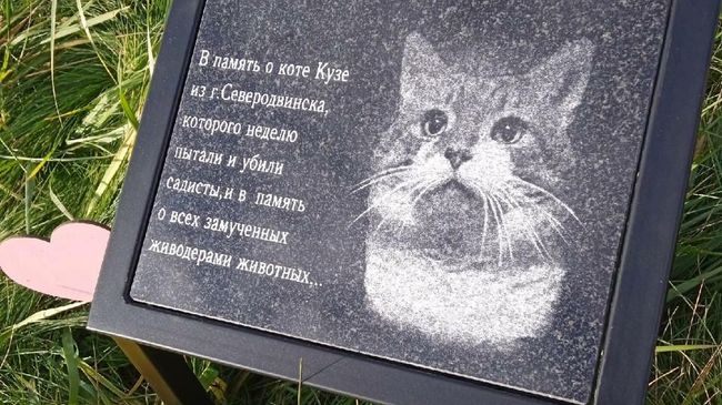 Мемориал коту Кузе на кладбище животных в Санкт-Петербурге Мемориал коту Кузе на кладбище животных в Санкт-Петербурге
