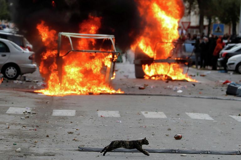 Кошка пробегает мимо горящих баррикад во время протестов металлургов на одной из улиц в Кадисе, Испания Кошка пробегает мимо горящих баррикад во время протестов металлургов на одной из улиц в Кадисе, Испания