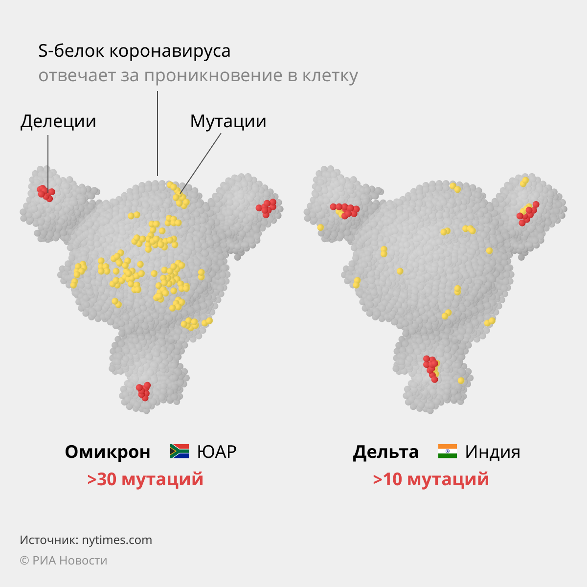 Омикрон и Дельта: мутации s-белка Омикрон и Дельта: мутации s-белка