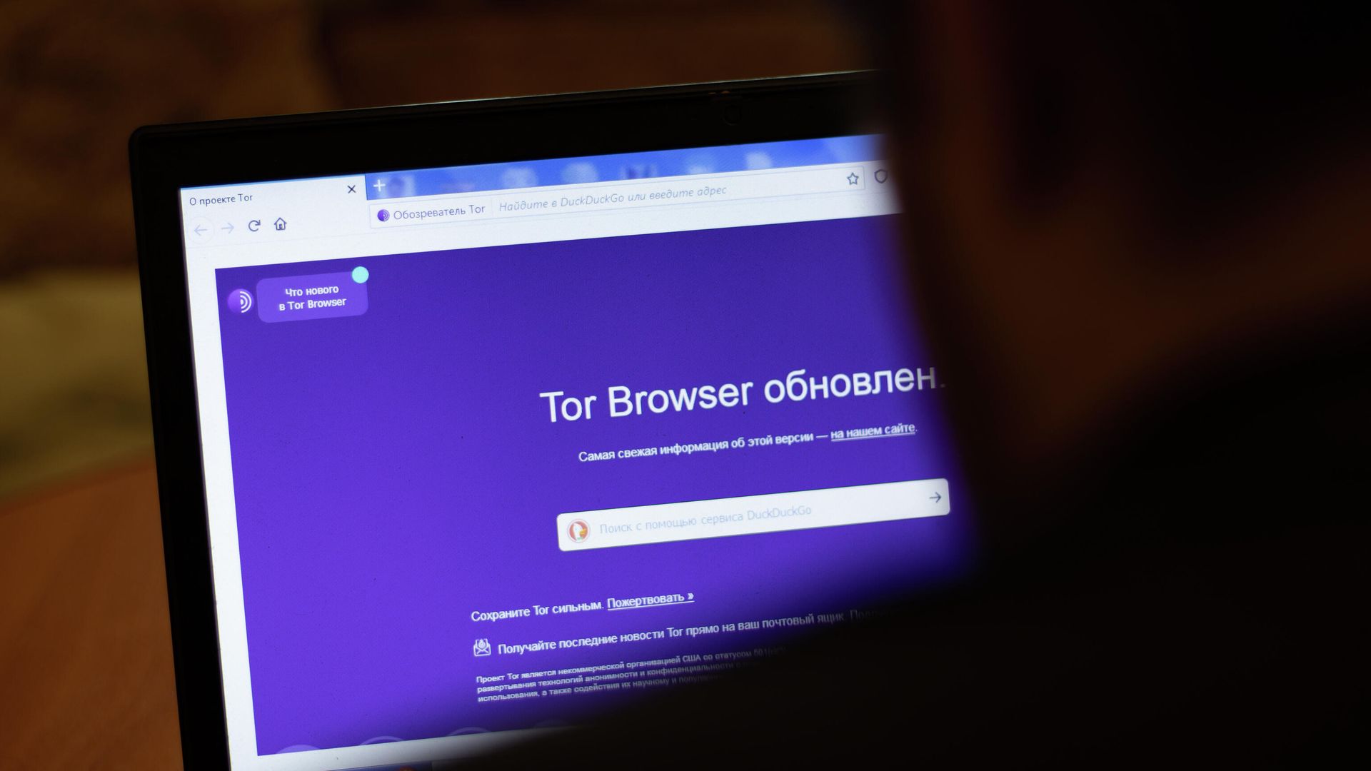 Монитор ноутбука с браузером Tor Монитор ноутбука с браузером Tor - РИА Новости, 1920, 28.07.2022