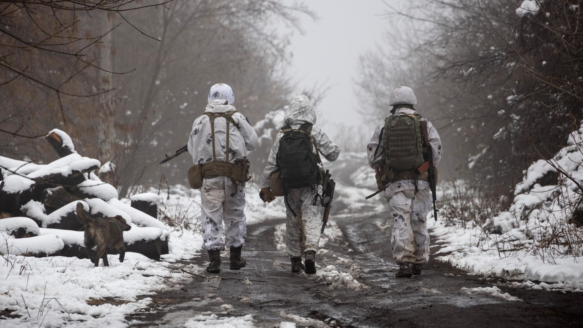 Украинские военнослужащие в Донецкой области Украинские военнослужащие в Донецкой области - РИА Новости, 1920, 22.01.2022