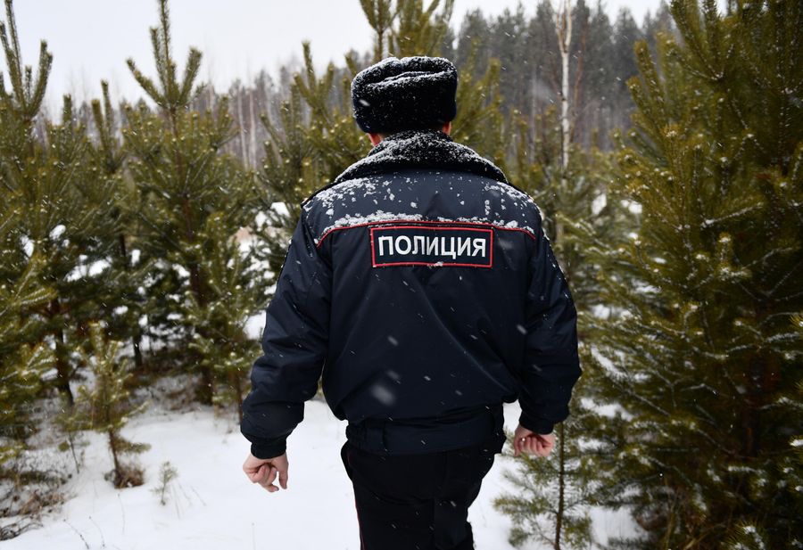 Полицейский 