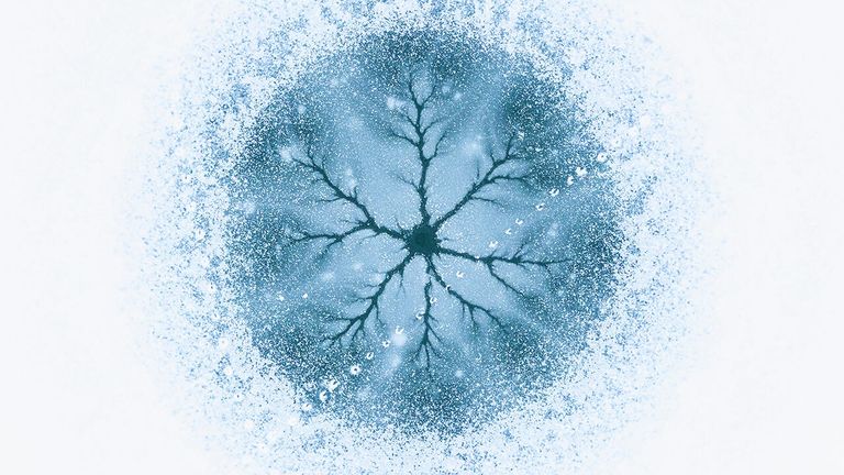 Снимок Ice cell румынского фотографа Gheorghe Popa, победивший в категории Nature Art в конкурсе Nature Photographer of the Year 2021 Снимок Ice cell румынского фотографа Gheorghe Popa, победивший в категории Nature Art в конкурсе Nature Photographer of the Year 2021