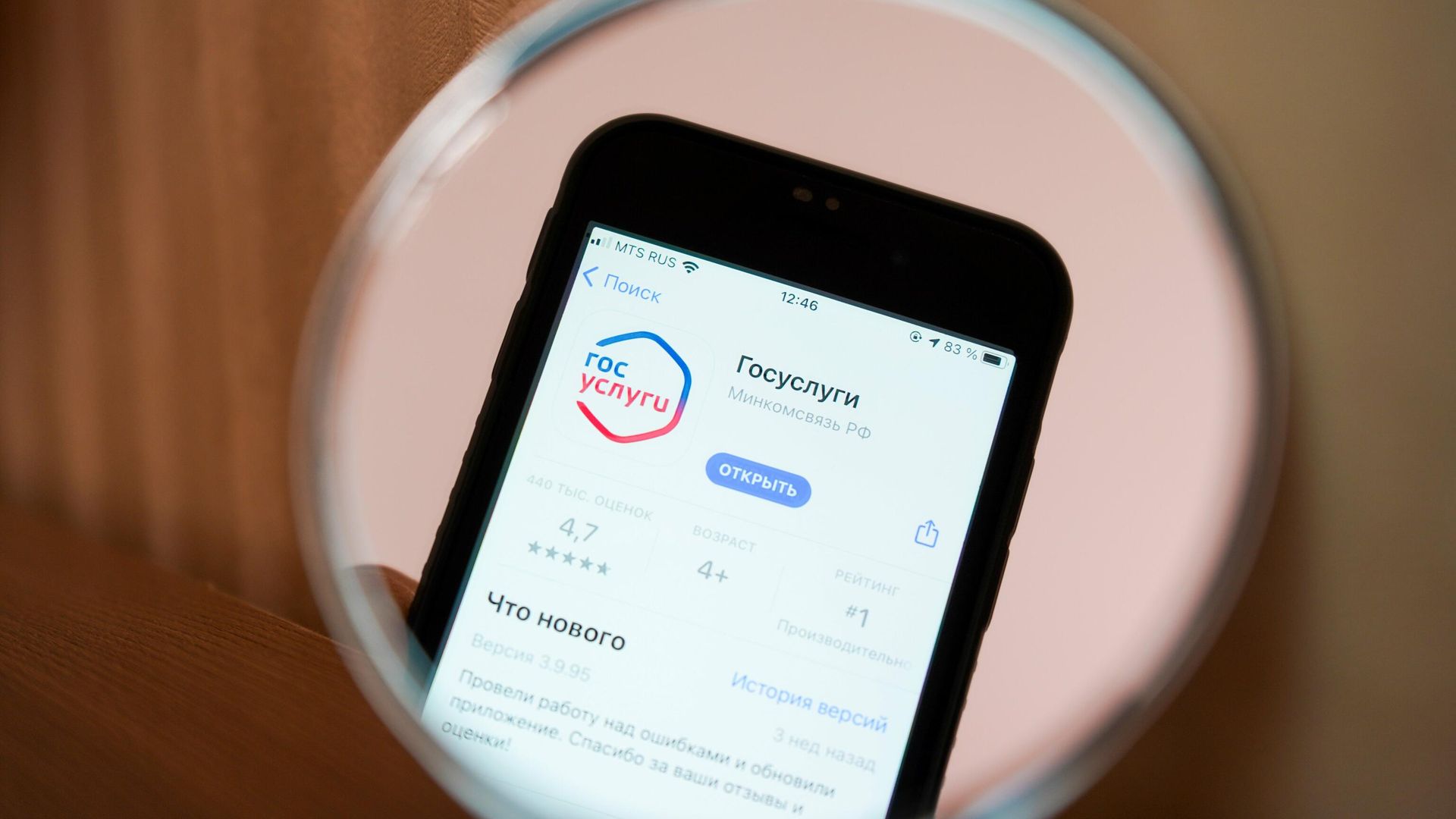 Страница приложения Госуслуги на экране смартфона Страница приложения Госуслуги на экране смартфона - РИА Новости, 1920, 26.09.2022