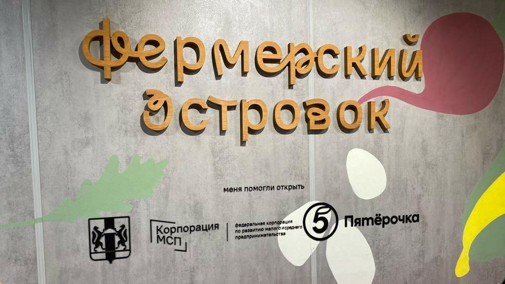 Новая торговая точка в рамках реализуемого Корпорацией МСП проекта Фермерский островок Новая торговая точка в рамках реализуемого Корпорацией МСП проекта Фермерский островок - РИА Новости, 1920, 21.12.2021