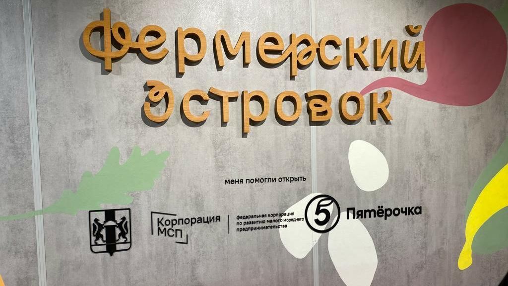 Новая торговая точка в рамках реализуемого Корпорацией МСП проекта Фермерский островок Новая торговая точка в рамках реализуемого Корпорацией МСП проекта Фермерский островок - РИА Новости, 1920, 27.04.2023