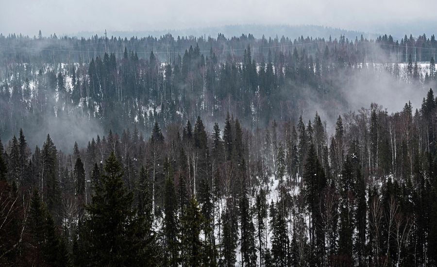 Природа Северного Урала Природа Северного Урала