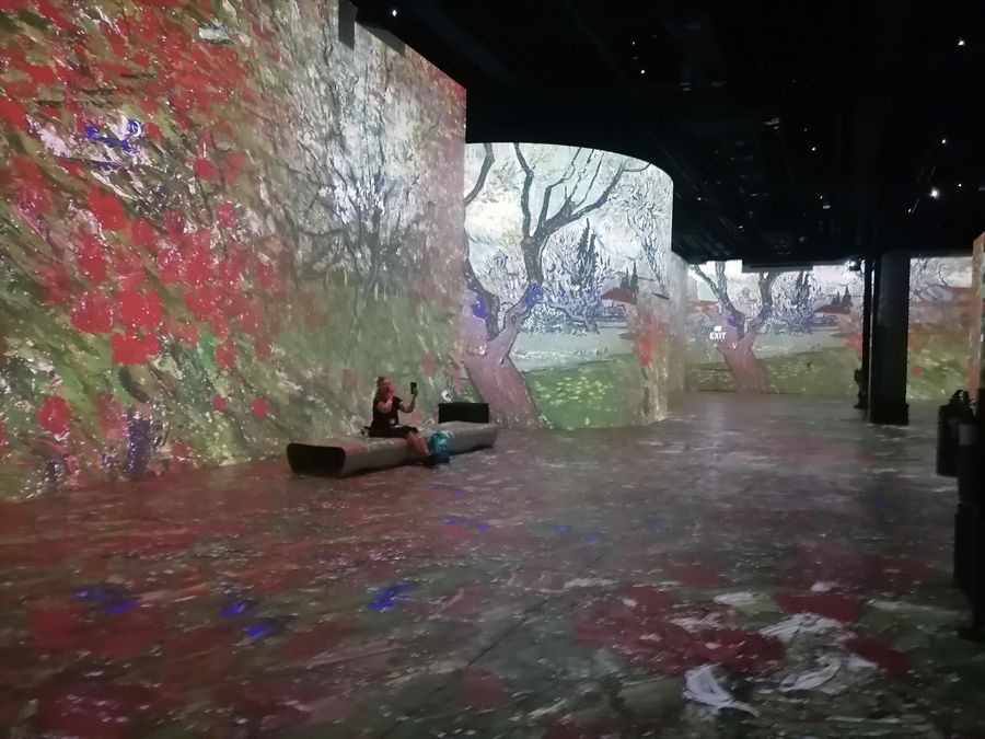 Инсталляция в Infinity des Lumieres