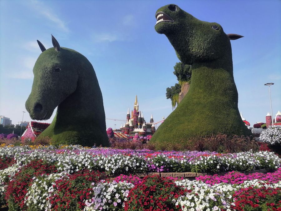 На входе в Miracle Garden