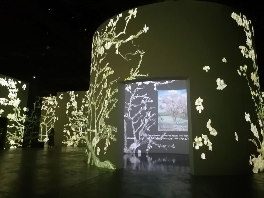 Представление в Infinity des Lumieres