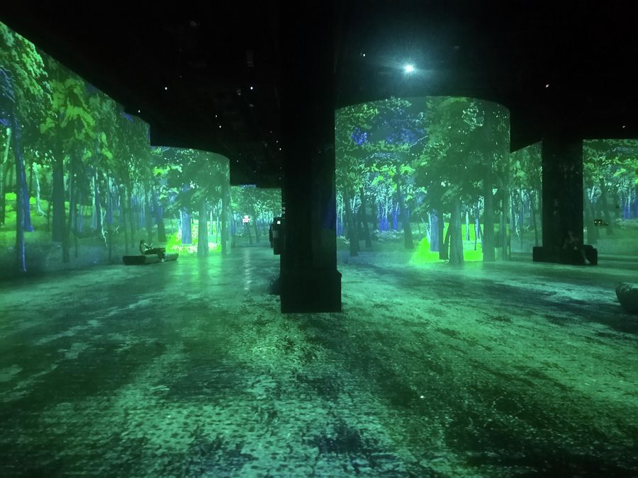 Проекции картин в Infinity des Lumieres