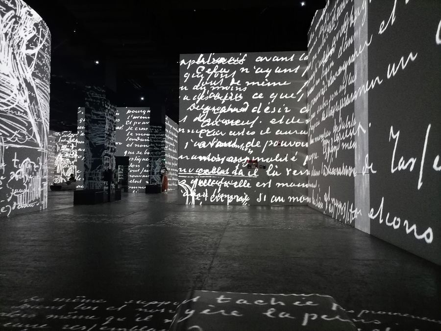Шоу в Infinity des Lumieres