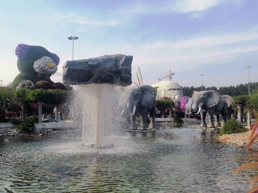 Фонтан в Miracle Garden
