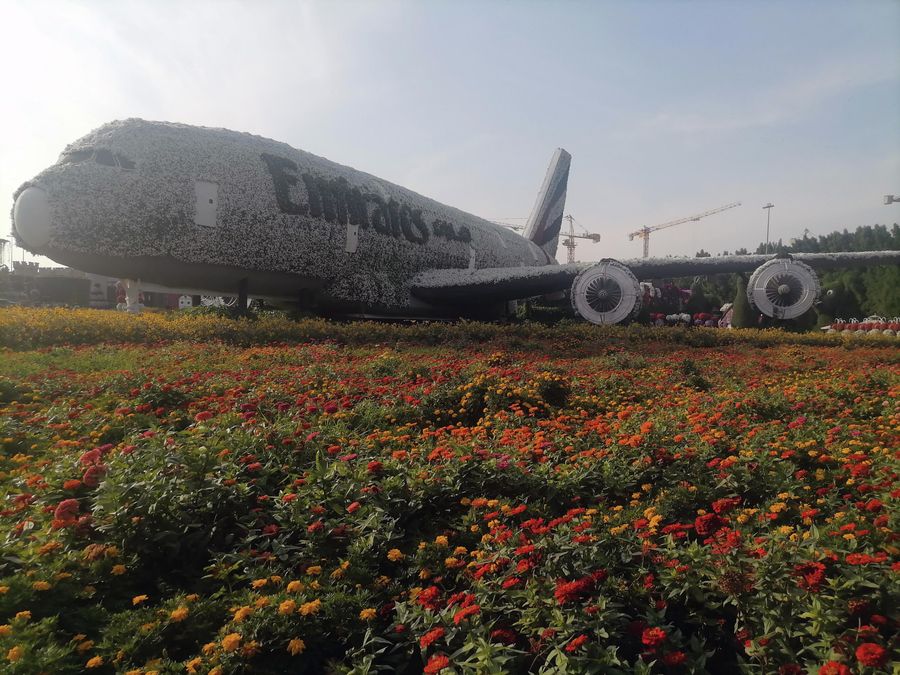 Цветочный самолет в Miracle Garden