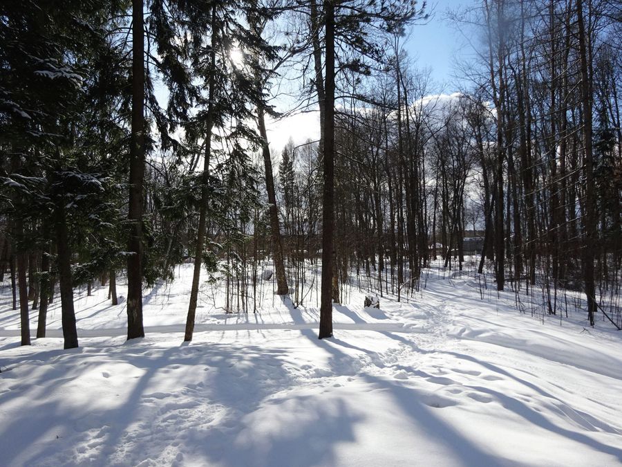 Муромцево, усадебный парк Муромцево, усадебный парк