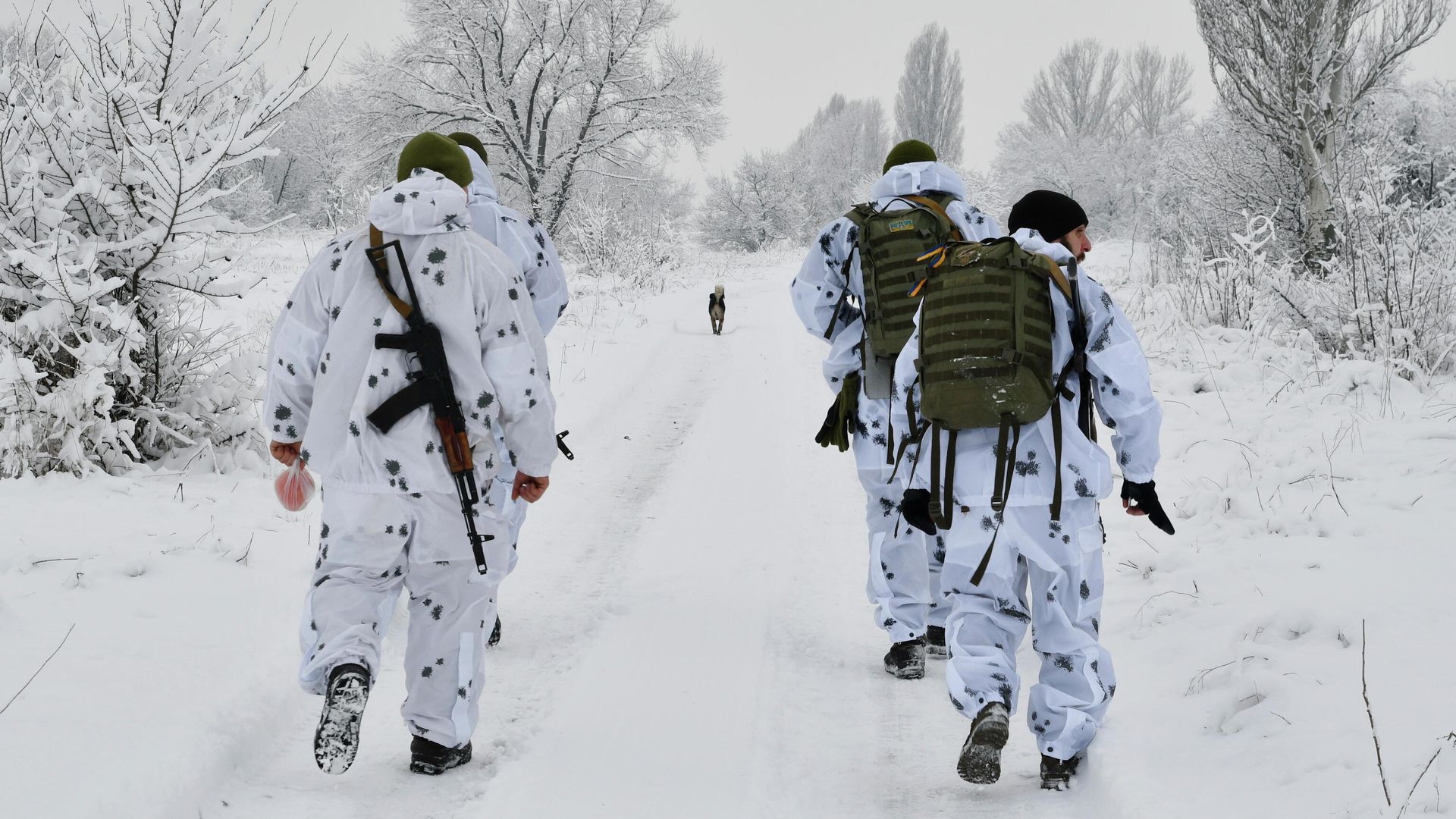 Украинские военные на линии соприкосновения в Донецкой области Украинские военные на линии соприкосновения в Донецкой области - РИА Новости, 1920, 09.02.2022
