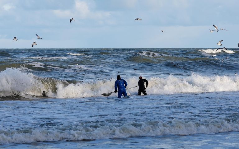 Ловцы янтаря в акватории Балтийского моря в Калининградской области Ловцы янтаря в акватории Балтийского моря в Калининградской области
