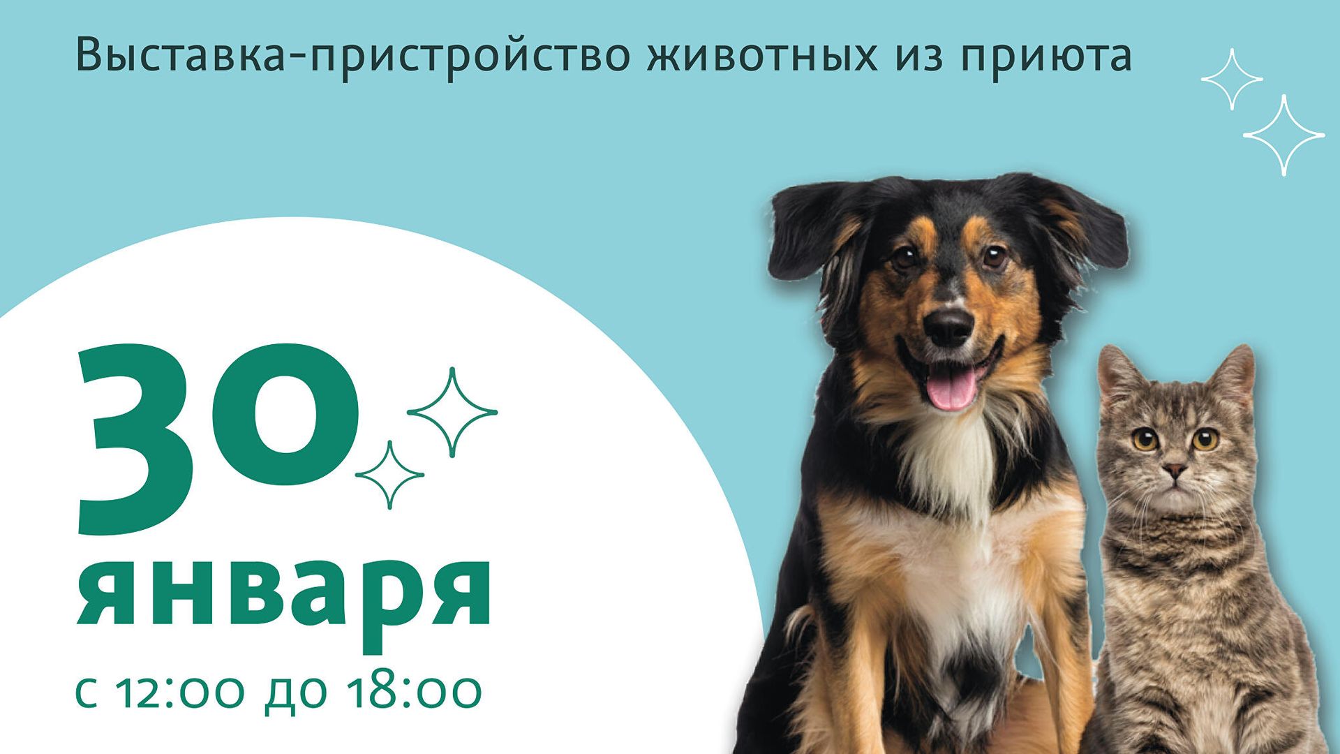 Афиша выставки бездомных животных Юна-Фест - РИА Новости, 1920, 21.01.2022