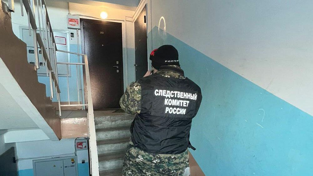 В Белогорске по подозрению в убийстве полугодовалого ребенка задержан его отец В Белогорске по подозрению в убийстве полугодовалого ребенка задержан его отец - РИА Новости, 1920, 23.01.2022