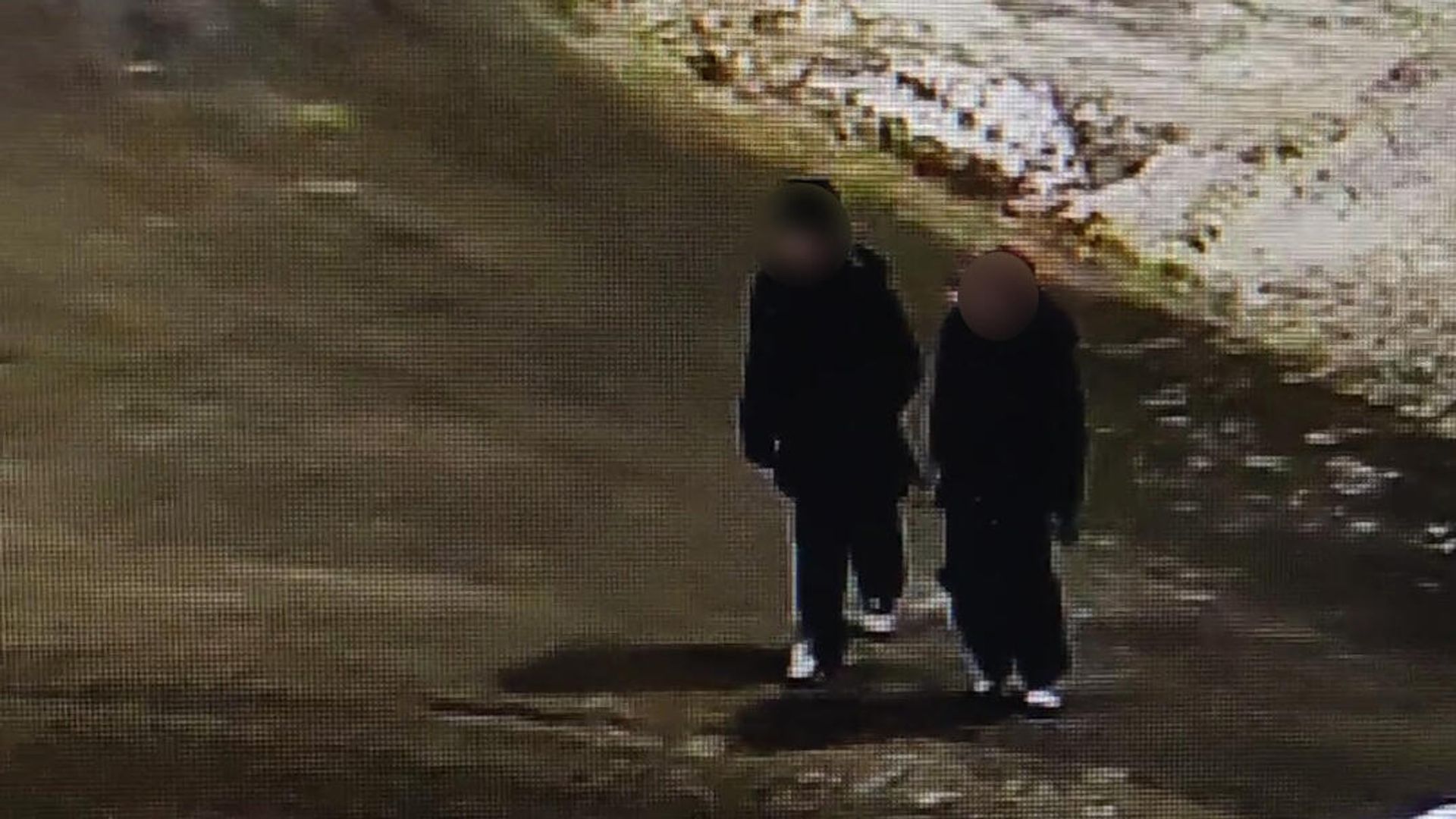 Школьники, закидавшие снежками Вечный огонь в Северодвинске Школьники, закидавшие снежками Вечный огонь в Северодвинске - РИА Новости, 1920, 23.01.2022