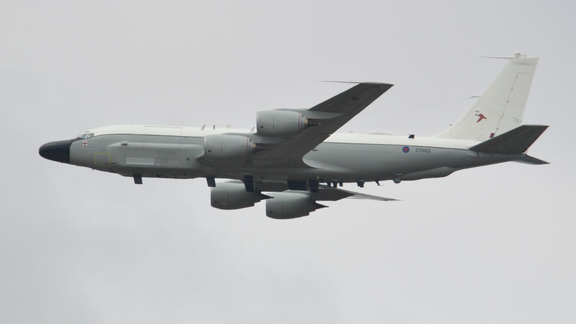 Самолет-разведчик RC-135W Rivet Joint Королевских ВВС Великобритании Самолет-разведчик RC-135W Rivet Joint Королевских ВВС Великобритании - РИА Новости, 1920, 24.07.2022