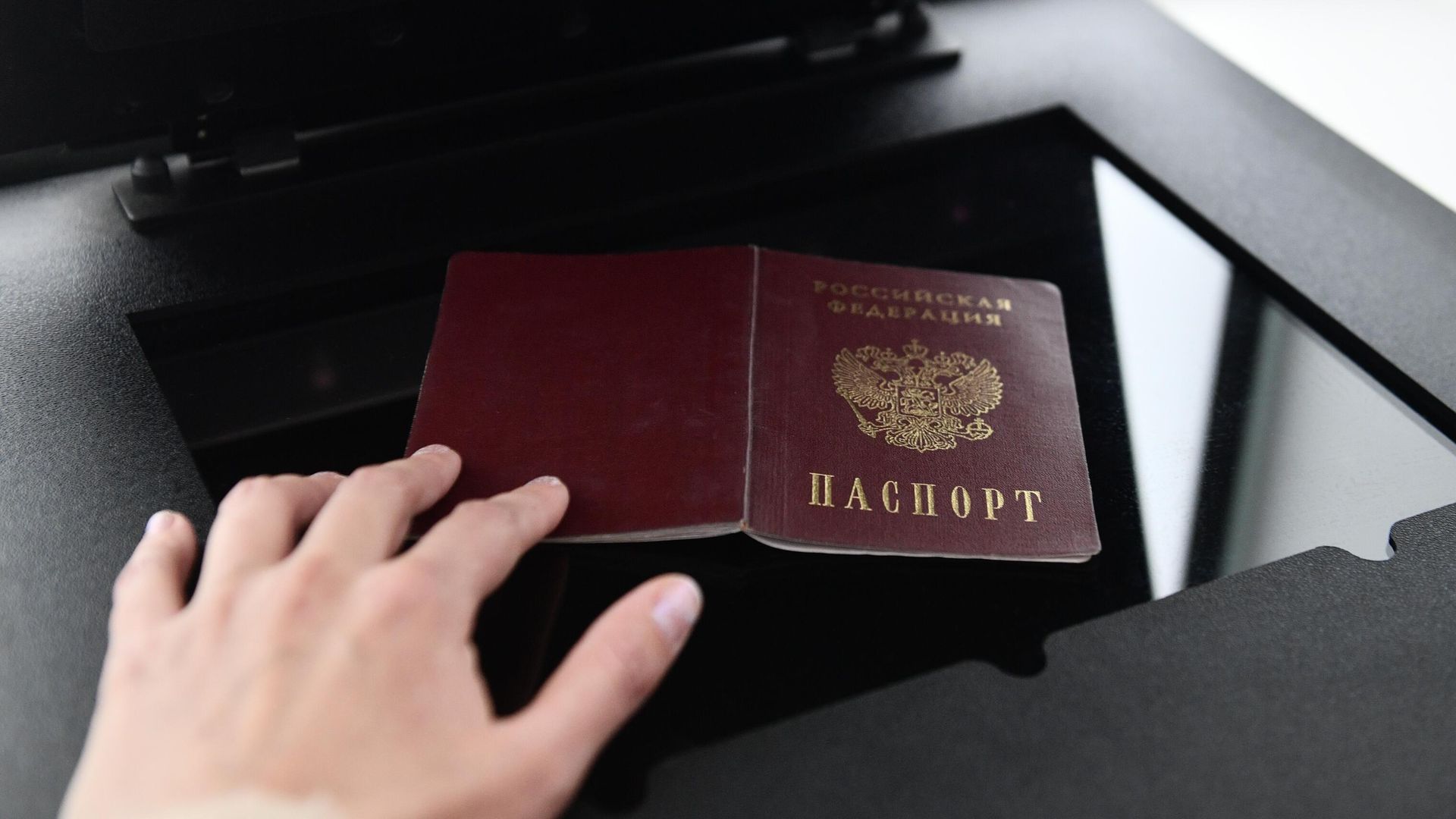 Девушка сканирует российский паспорт Девушка сканирует российский паспорт - РИА Новости, 1920, 11.07.2022
