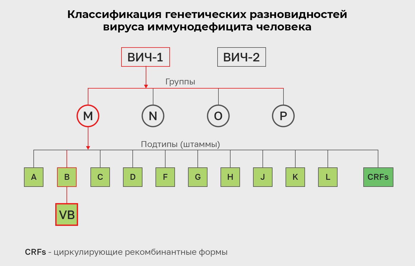 Классификация генетических разновидностей вируса иммунодефицита человека Классификация генетических разновидностей вируса иммунодефицита человека - РИА Новости, 1920, 03.02.2022