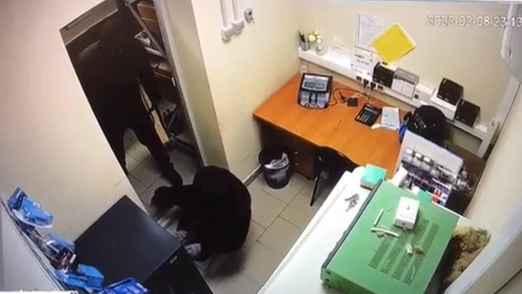 Нападение на магазин в городском округе Истра. Кадр записи камеры видеонаблюдения Нападение на магазин в городском округе Истра. Кадр записи камеры видеонаблюдения - РИА Новости, 1920, 09.02.2022